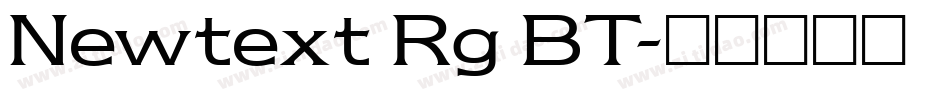Newtext Rg BT字体转换